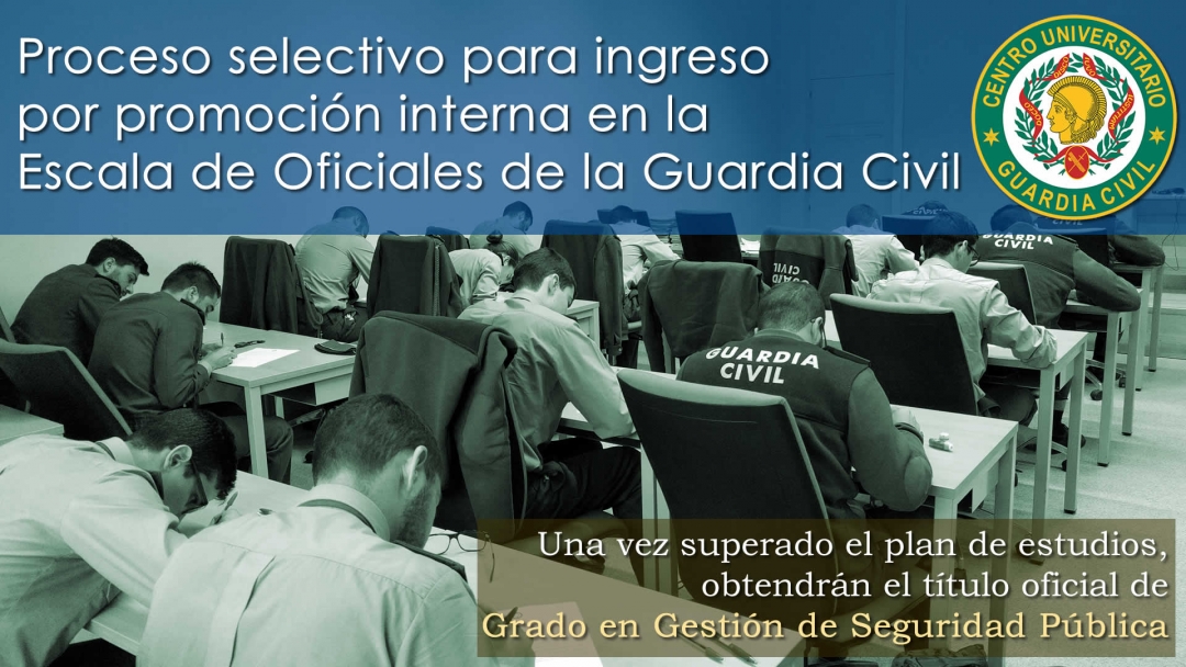 Proceso selectivo para ingreso por promoción interna en la Escala de Oficiales